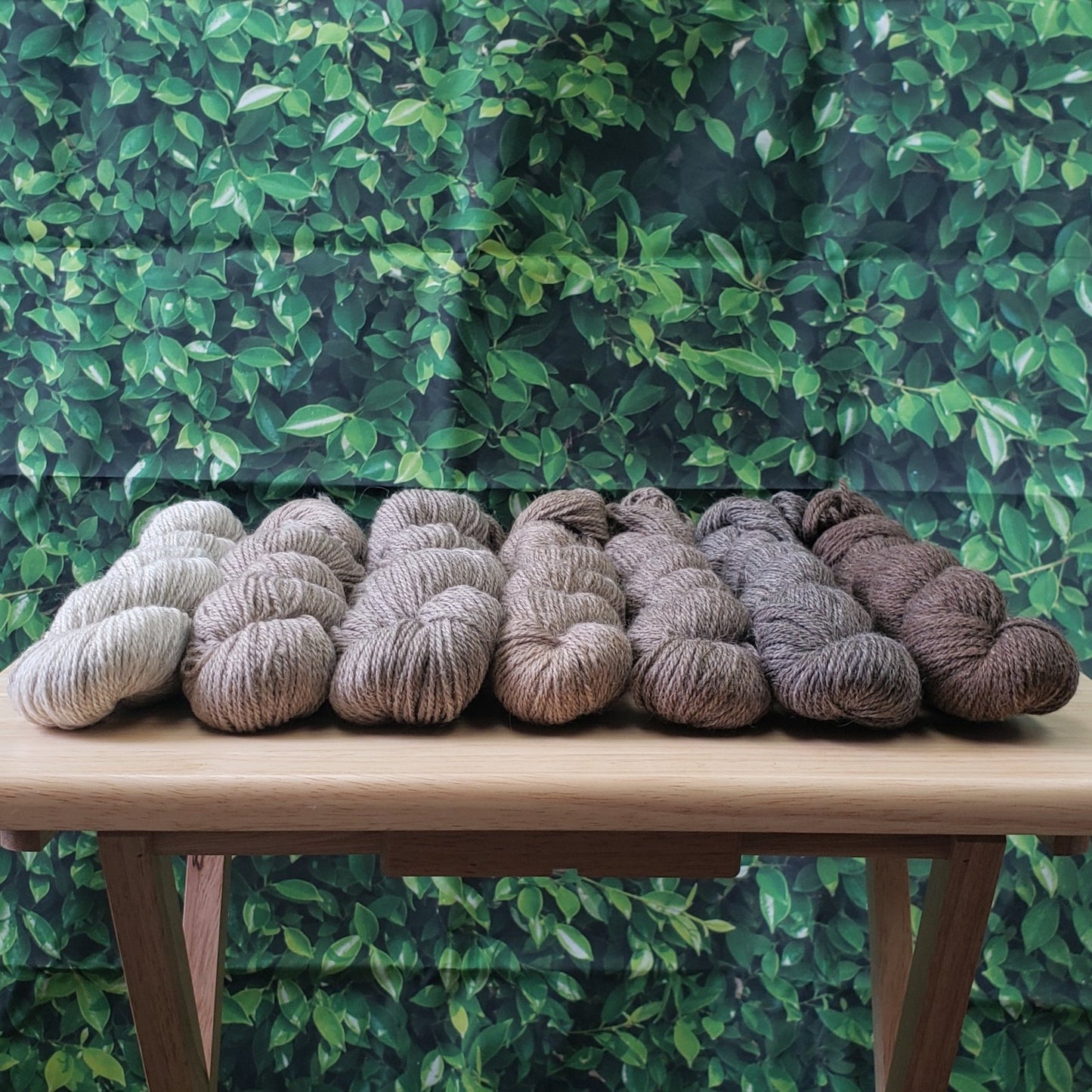 A wooden table displays multiple skeins of yarn in various shades of brown, grey, and cream. The background consists of a green, leaf-patterned fabric. The yarn is neatly arranged in rows on the tabletop.