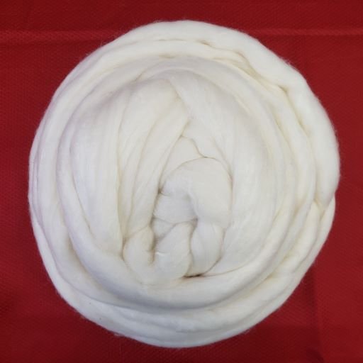 A round bundle of white wool roving is coiled neatly on a red background. The wool appears soft and fluffy, arranged in concentric layers forming a circular shape.