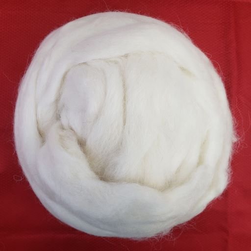 A close-up image of a bundle of white wool roving, arranged in a circular shape. The wool has a soft and fluffy texture, and it is placed against a red textured background.