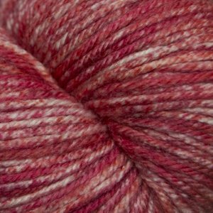 Cascade 220 Superwash Effects