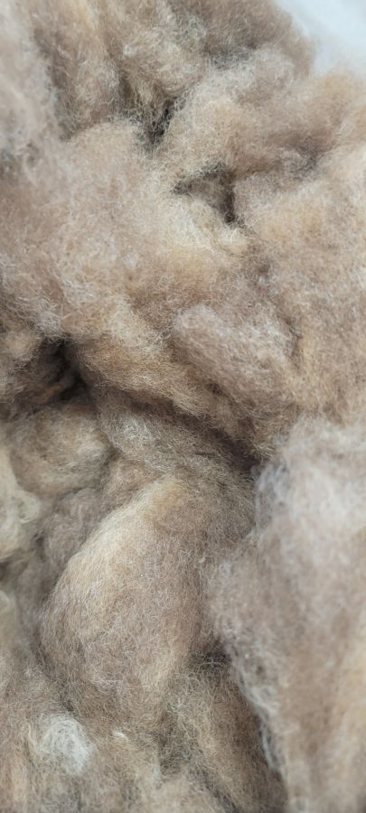 Fleece: Umber Longwool Lamb Consignment AB