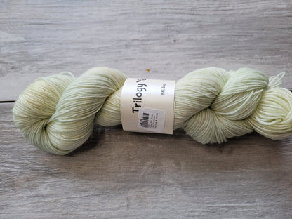 Trilogy BFL Sock