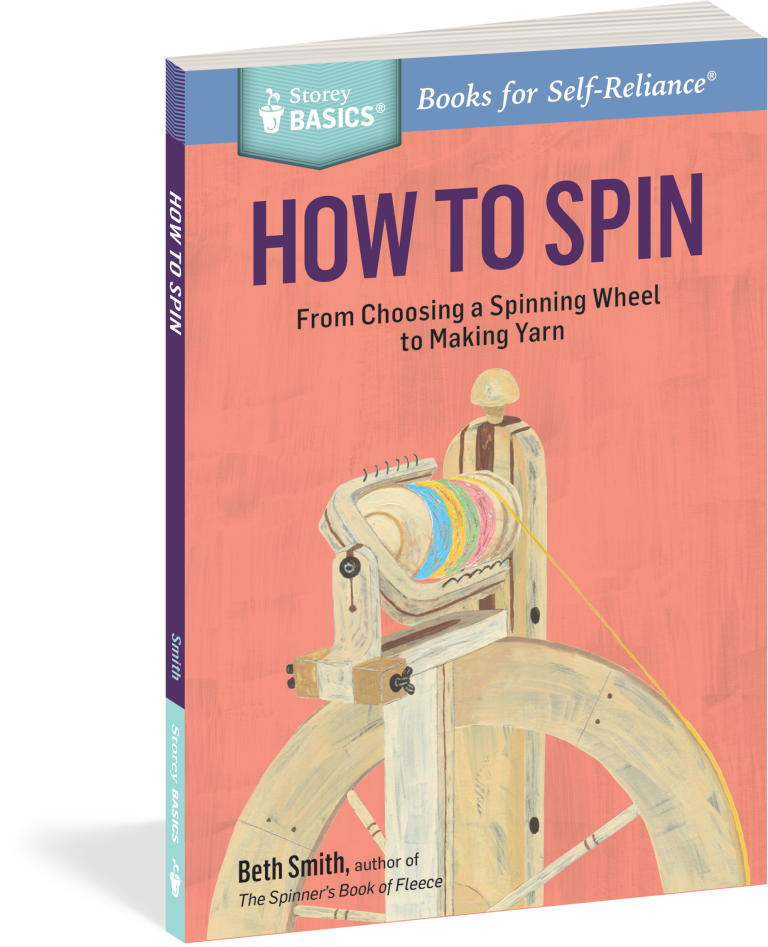 How to Spin by Beth Smith