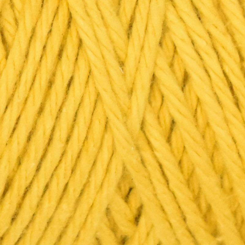 Queensland Collection Coastal Cotton