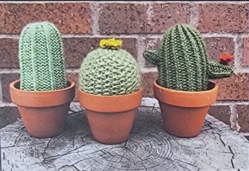 eM Prickle of Cactus Kits