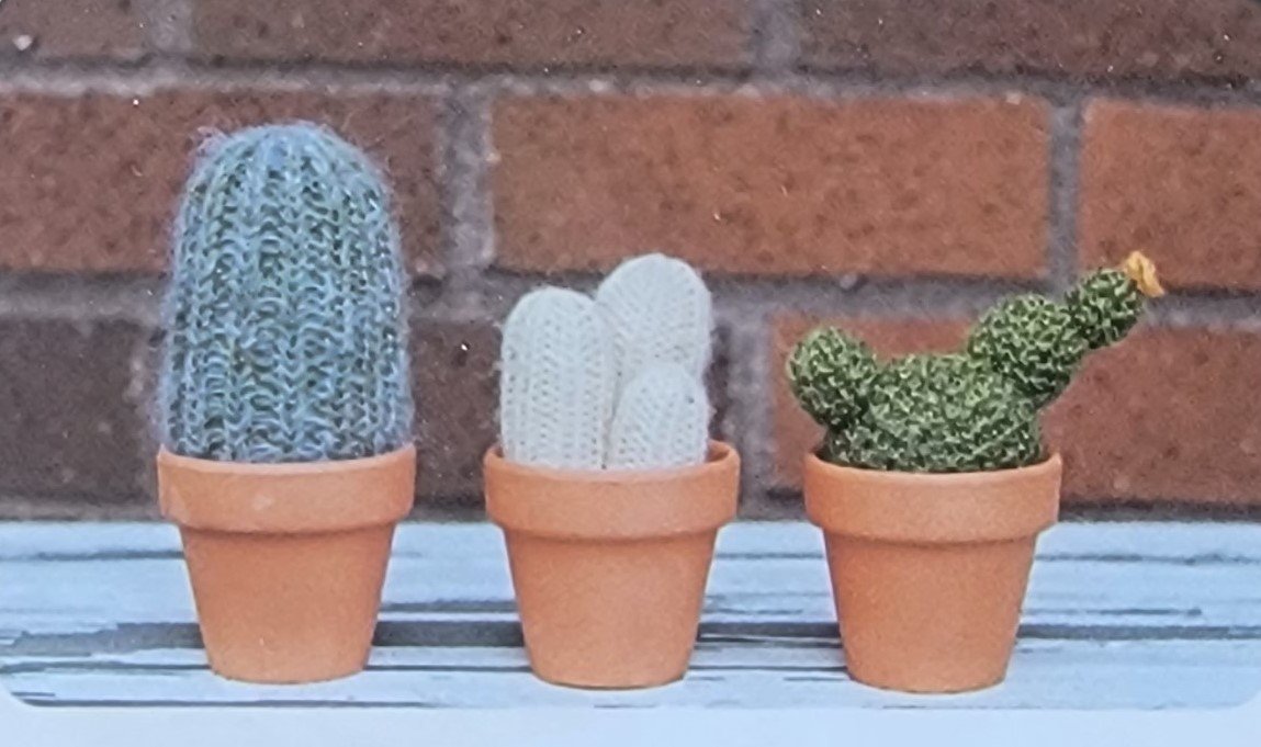 eM Prickle of Cactus Kits