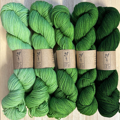 Oregon Fiber Garden Gradients